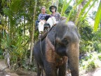 Nina-Jerry on elephant.JPG (156 KB)